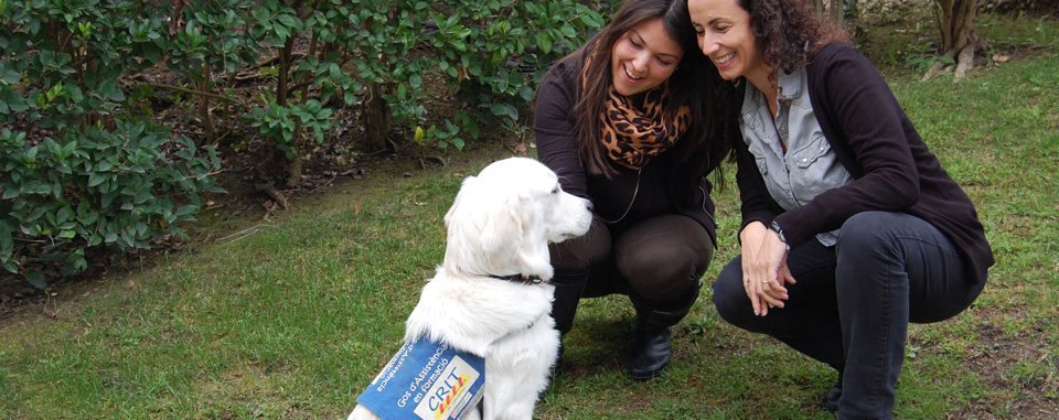 El "Proyecto Guau" de Nestlé Purina