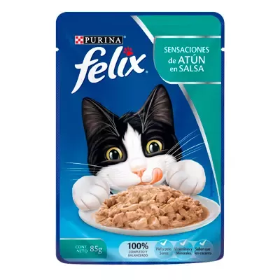 Felix