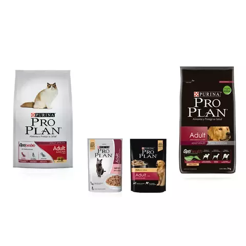 pro plan