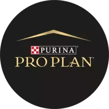 Pro Plan