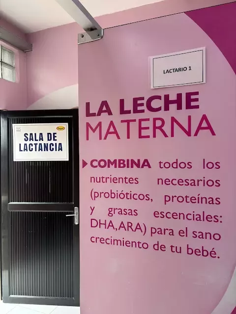 lactancia materna